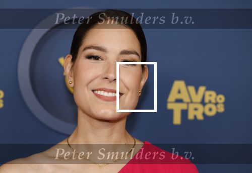 Amsterdam 17 oktober 2024
Het televizierring gala 2024  in carre . 
Amber Brantsen