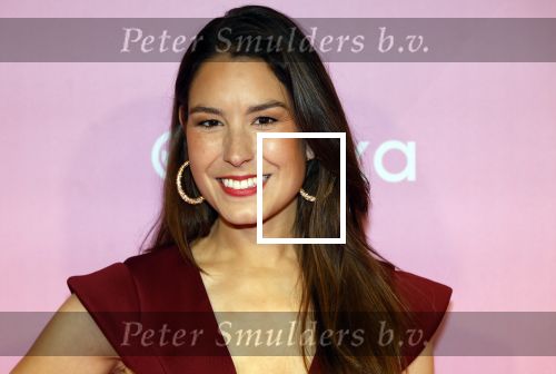 Amsterdam 22 oktober 2024
Premiere Gooische vrouwen in het DeLaMar theater. Amber Brantsen