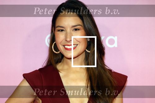 Amsterdam 22 oktober 2024
Premiere Gooische vrouwen in het DeLaMar theater. Amber Brantsen