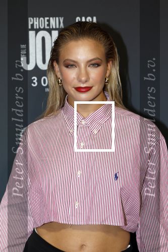 Amsterdam 1 oktober 2024
Premiere the Joker in pathe Arena. Amber Delil en Dj Hato