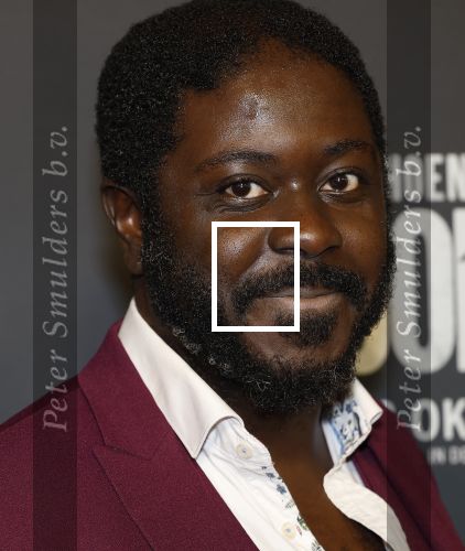 Amsterdam 1 oktober 2024
Premiere the Joker in pathe Arena. Andre Dongelmans met een vriendin