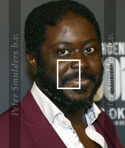 Amsterdam 1 oktober 2024
Premiere the Joker in pathe Arena. Andre Dongelmans met een vriendin