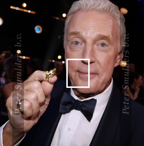 Amsterdam 17 oktober 2024
Het televizierring gala 2024  in carre .  Andre v Duin