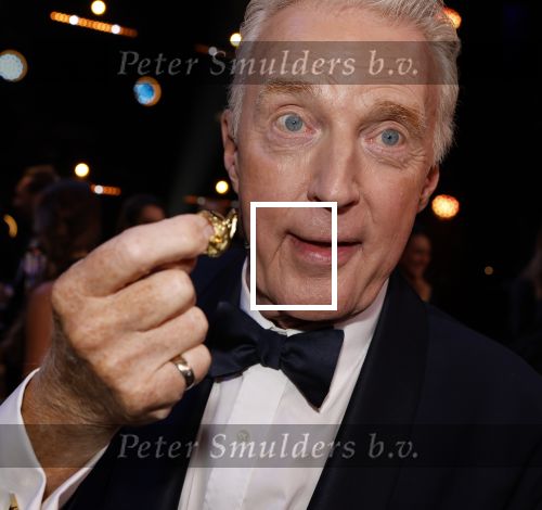 Amsterdam 17 oktober 2024
Het televizierring gala 2024  in carre .  Andre v Duin