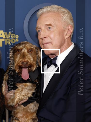 Amsterdam 17 oktober 2024
Het televizierring gala 2024  in carre .  Janny v d Heijden met hondje en Andre v Duin