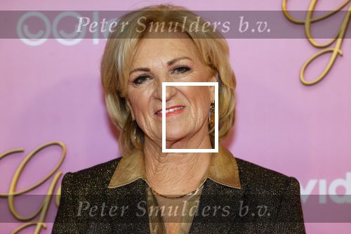 Amsterdam 22 oktober 2024
Premiere Gooische vrouwen in het DeLaMar theater. Anita Meier met partner