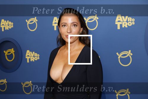 Amsterdam 17 oktober 2024
Het televizierring gala 2024  in carre . Anke de Jong