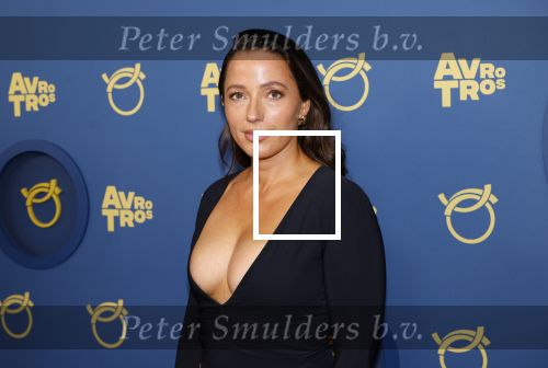 Amsterdam 17 oktober 2024
Het televizierring gala 2024  in carre . Anke de Jong