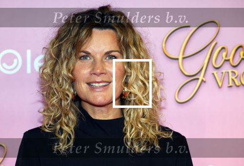Amsterdam 22 oktober 2024
Premiere Gooische vrouwen in het DeLaMar theater. Annette Barlo