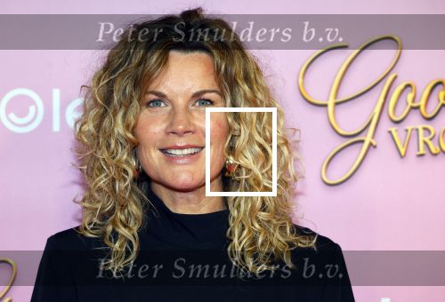 Amsterdam 22 oktober 2024
Premiere Gooische vrouwen in het DeLaMar theater. Annette Barlo