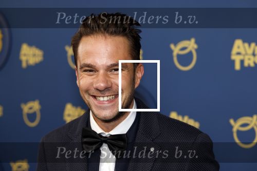 Amsterdam 17 oktober 2024
Het televizierring gala 2024  in carre . Aran Bade