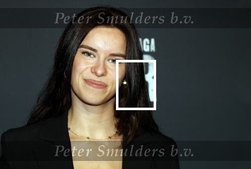 Amsterdam 1 oktober 2024
Premiere the Joker in pathe Arena. Belle Zimmerman