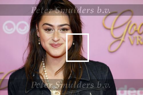 Amsterdam 22 oktober 2024
Premiere Gooische vrouwen in het DeLaMar theater. Bente Fokkens