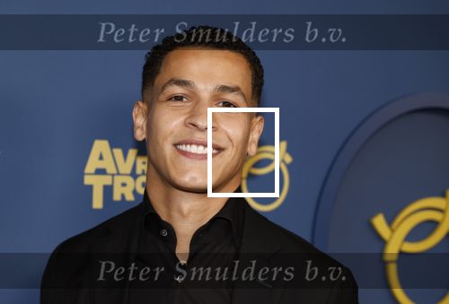 Amsterdam 17 oktober 2024
Het televizierring gala 2024  in carre . Bilal Wahib