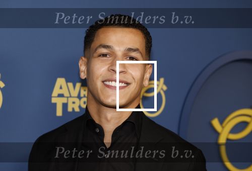Amsterdam 17 oktober 2024
Het televizierring gala 2024  in carre . Bilal Wahib