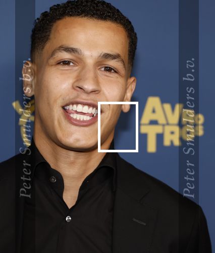 Amsterdam 17 oktober 2024
Het televizierring gala 2024  in carre . Bilal wahib