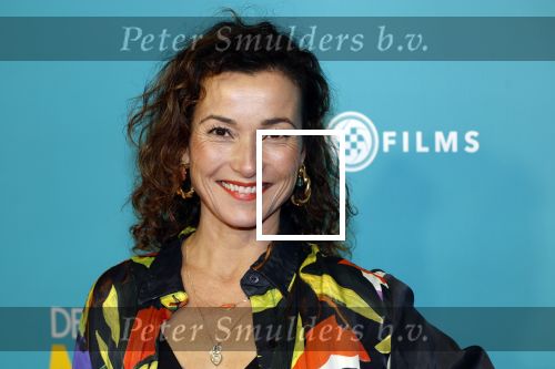 Amsterdam 14 oktober 2024
Premiere de Mannenmaker in Tuschinski met in de hoofdrollen oa Katja Schuurman Eva v d Wijdeven Leo Alkemade Georgina Verbaan Melissas Drost Huub Smit Yasmin Karssing en Rene Watzema . Birgit Schuurman met vriend en zoon