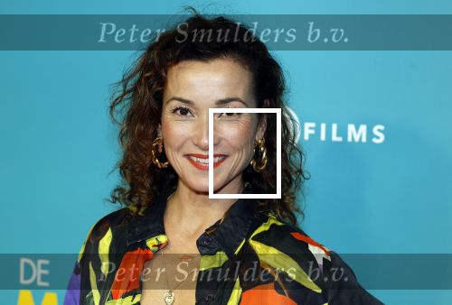 Amsterdam 14 oktober 2024
Premiere de Mannenmaker in Tuschinski met in de hoofdrollen oa Katja Schuurman Eva v d Wijdeven Leo Alkemade Georgina Verbaan Melissas Drost Huub Smit Yasmin Karssing en Rene Watzema . Birgit Schuurman met vriend en zoon