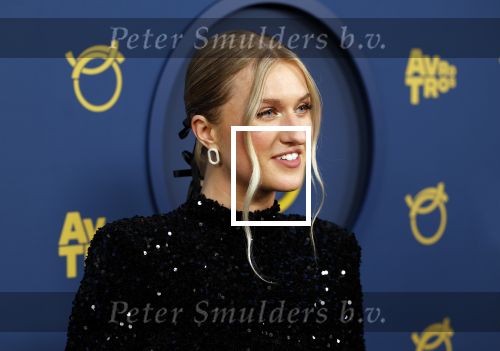 Amsterdam 17 oktober 2024
Het televizierring gala 2024  in carre . Britt Dekker
