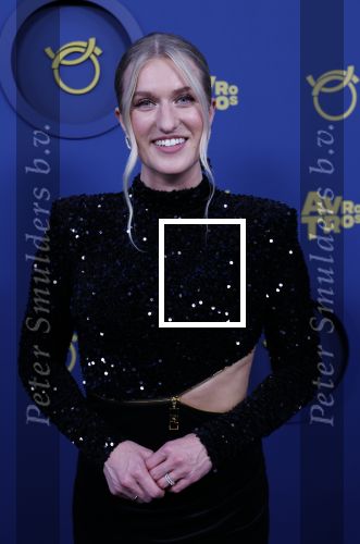 Amsterdam 17 oktober 2024
Het televizierring gala 2024  in carre . Britt Dekker