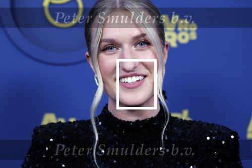 Amsterdam 17 oktober 2024
Het televizierring gala 2024  in carre . Britt Dekker
