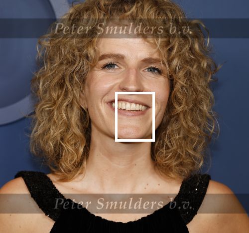 Amsterdam 17 oktober 2024
Het televizierring gala 2024  in carre . Carolien Borgers