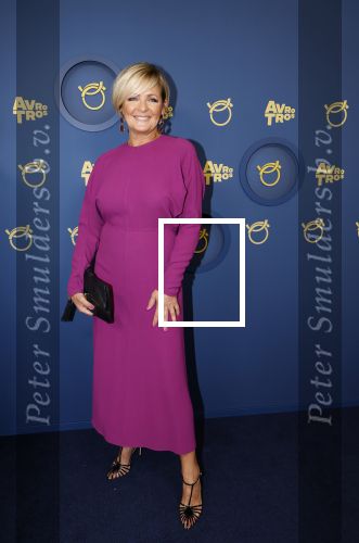Amsterdam 17 oktober 2024
Het televizierring gala 2024  in carre . caroline Tensen