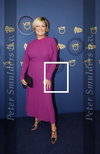 Amsterdam 17 oktober 2024
Het televizierring gala 2024  in carre . caroline Tensen