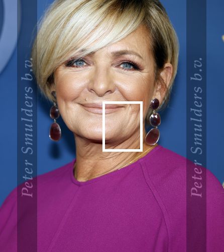 Amsterdam 17 oktober 2024
Het televizierring gala 2024  in carre . caroline Tensen