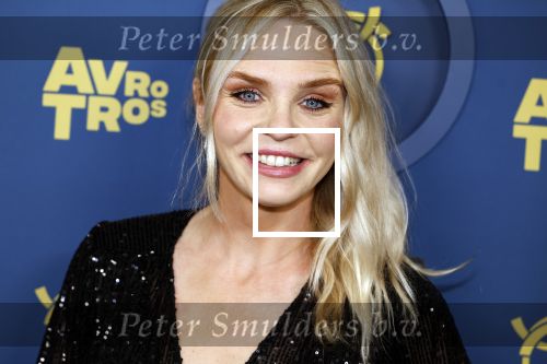 Amsterdam 17 oktober 2024
Het televizierring gala 2024  in carre . Charlotte Nijs kwam met Suse v Kleef