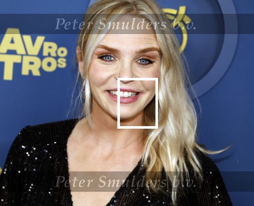Amsterdam 17 oktober 2024
Het televizierring gala 2024  in carre . Charlotte Nijs kwam met Suse v Kleef