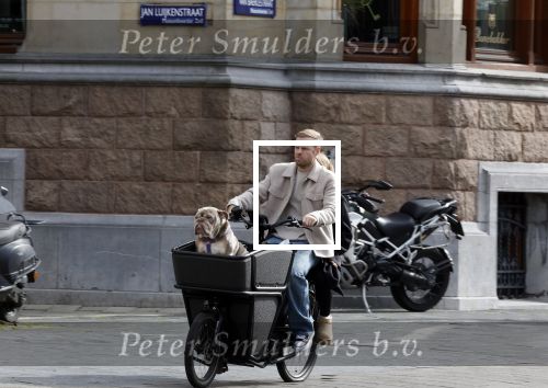 Amsterdam 8 oktober 2024
Davy Klaassen en zijn zwangere vrouw Laura Klaassen-Benschop  op de fiets in Amsterdam . Voorop zijn fiets in de speciale bak zit hun hond Bulldog Rio