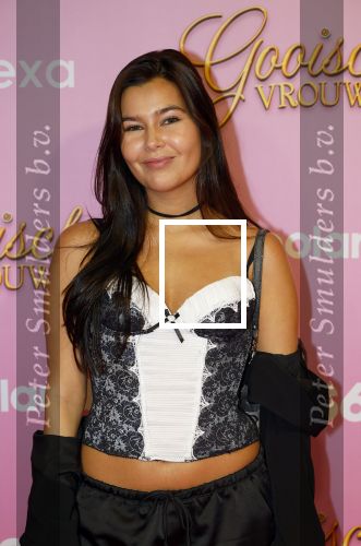 Amsterdam 22 oktober 2024
Premiere Gooische vrouwen in het DeLaMar theater. Diva Maria Brons