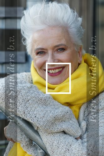 Amsterdam 15 oktober 2024
Presentatie murder on the nile met in de hoofdrollen  Stanley Burleson, Wilbert Gieske/Rick Engelkes, Anne de Blok, Doris Baaten, Sjoerd Spruijt, Jeske Van de Staak, Alexander Schuitema, Julia Lammerts, Lotte van der Made en Silyan el Kattabi.