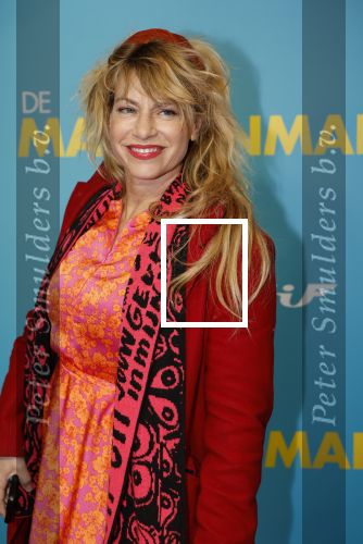 Amsterdam 14 oktober 2024
Premiere de Mannenmaker in Tuschinski met in de hoofdrollen oa Katja Schuurman Eva v d Wijdeven Leo Alkemade Georgina Verbaan Melissas Drost Huub Smit Yasmin Karssing en Rene Watzema . Ellen ten Damme