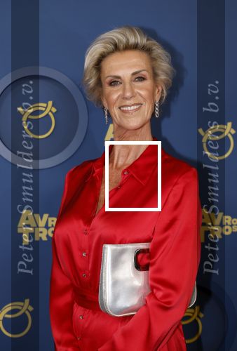 Amsterdam 17 oktober 2024
Het televizierring gala 2024  in carre . Els B&B Vol liefde