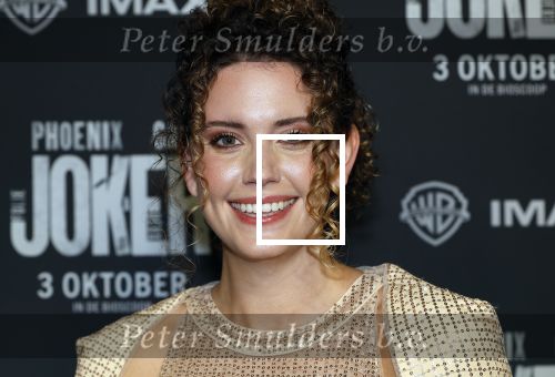 Amsterdam 1 oktober 2024
Premiere the Joker in pathe Arena. Emma Deckers