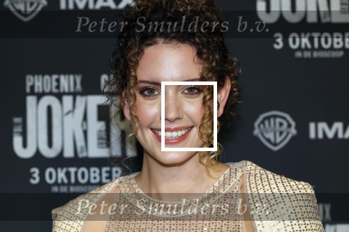 Amsterdam 1 oktober 2024
Premiere the Joker in pathe Arena. Emma Deckers