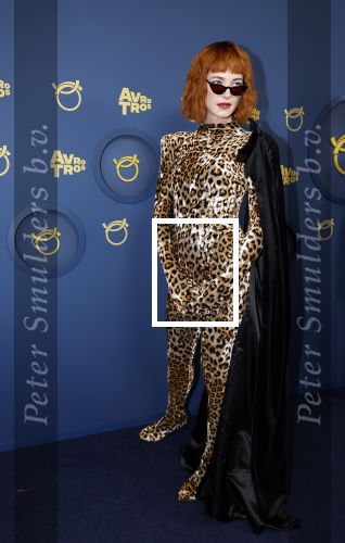 Amsterdam 17 oktober 2024
Het televizierring gala 2024  in carre . Emma Wortelboer