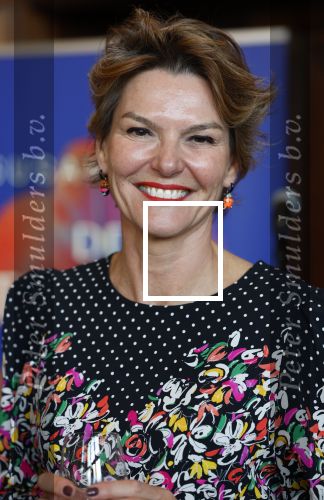 Amsterdam 15 oktober 2024
Boekpresentatie Susan Smit in Hotel the Hoxton . Eveline Aendekerk