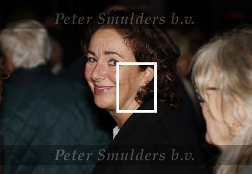 Amsterdam 21 oktober 2024
Premiere in de Jordaan in het deLamar theater. Femke Halsema