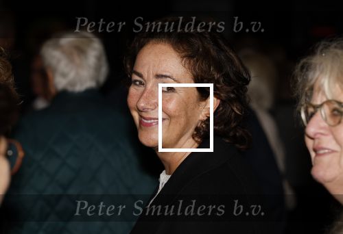 Amsterdam 21 oktober 2024
Premiere in de Jordaan in het deLamar theater. Femke Halsema
