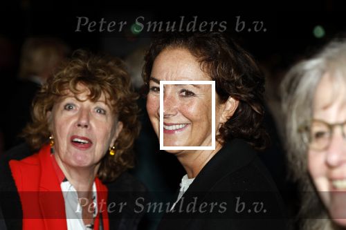 Amsterdam 21 oktober 2024
Premiere in de Jordaan in het deLamar theater. Femke Halsema