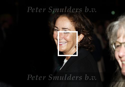 Amsterdam 21 oktober 2024
Premiere in de Jordaan in het deLamar theater. Femke Halsema