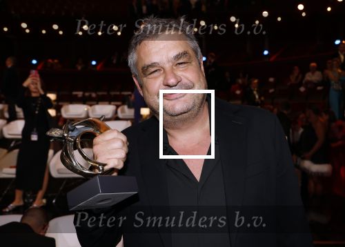 Amsterdam 17 oktober 2024
Het televizierring gala 2024  in carre . Beste Acteur Frank Lammers