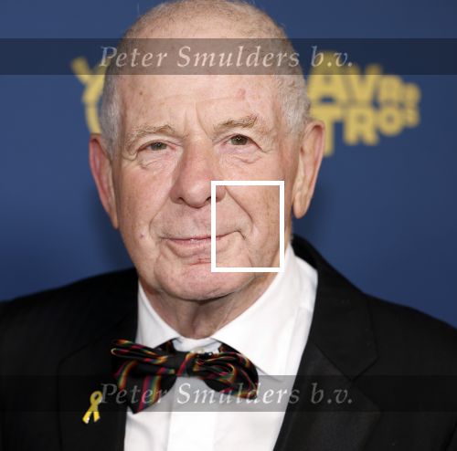Amsterdam 17 oktober 2024
Het televizierring gala 2024  in carre . Frits Barend
