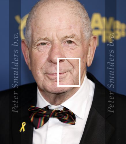 Amsterdam 17 oktober 2024
Het televizierring gala 2024  in carre . Frits Barend