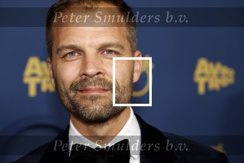 Amsterdam 17 oktober 2024
Het televizierring gala 2024  in carre . Gijs naber