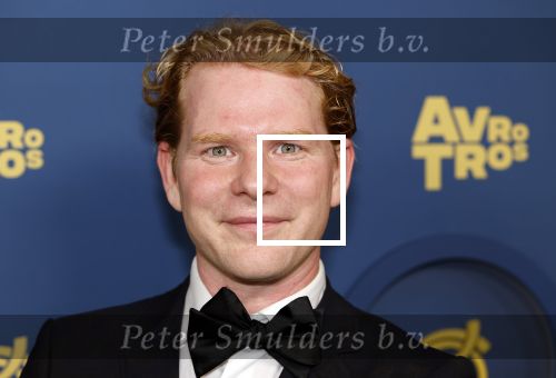 Amsterdam 17 oktober 2024
Het televizierring gala 2024  in carre . Gijs Rademaker met zijn partner Yang Yang Lee