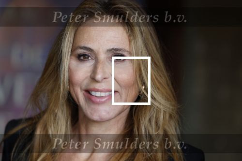 Amsterdam 15 oktober 2024
Boekpresentatie Susan Smit in Hotel the Hoxton . Heleen v Royen
